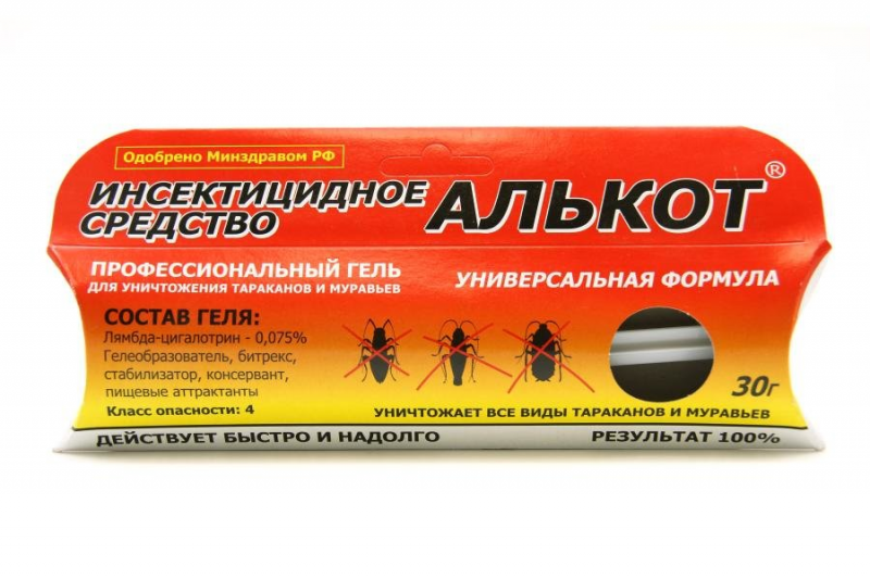 Алькот Алькот